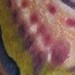 tattoo galleries/ - 